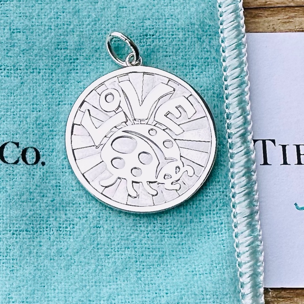 Tiffany & Co. LARGE Love Bug Charm Pendant in Silver